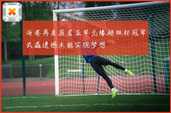 海港再度屈居亚军无缘超级杯冠军武磊遗憾未能实现梦想