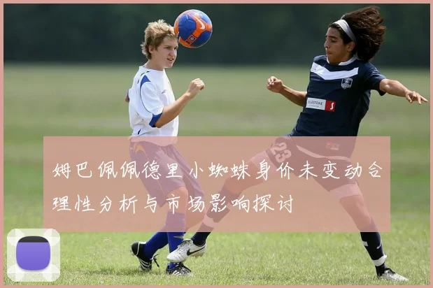 姆巴佩佩德里小蜘蛛身价未变动合理性分析与市场影响探讨