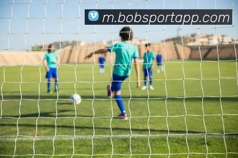 BOB体育平台生态图